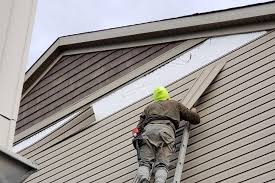 Historical Building Siding Restoration in Wood Dale, IL